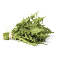 Organic Dandelion Red - 1 Each